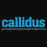 Callidus Surveys
