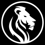 LIONS LEAGUE