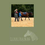 Christina Englmaier Pferdetraining