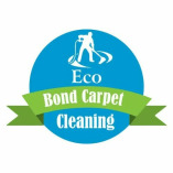 Carpet Cleaning Services