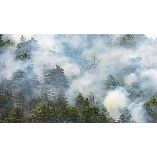 Secatogue Smoke Damage Experts