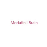 Modafinil Brain