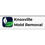 Best Mold Removal Knoxville