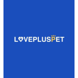 We offer the best dog hip brace on the market at LOVEPLUSPET