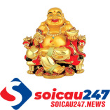 soicau247news
