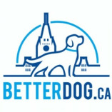 BetterDog