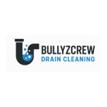 BullyzCrew Drain Cleaning