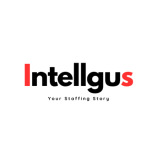 Intellgus - Outsourced Accounting Services