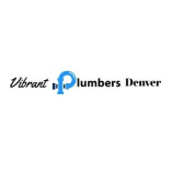 Vibrant Plumbers Denver