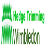 Hedge Trimming Wimbledon