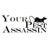 Your Pest Assassin