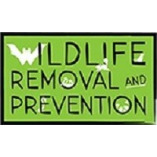 Wildlife Removal & Prevention