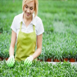 Lawn Mowing Spitalfields
