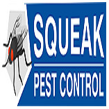 Pest Inspection Melbourne