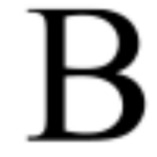 Das Beauty Haus logo