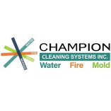 Champion Cleaning Systems