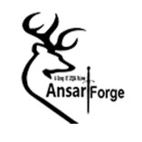 AnsariForge