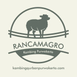 Jual Kambing Purwokerto