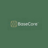 BaseCore Ground Stabilization