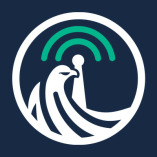 FALKENFUNK Consulting