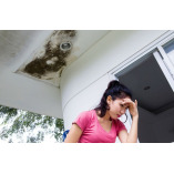 Sonoran Mold Removal