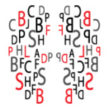 Schlaukopf-Institut für systemisches Lernen logo