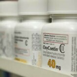 Buy Oxycodone 30mg online FedEx overnight delivery