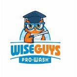 WiseGuys Pro-Wash