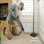 Wow Now Carpet Cleaning Tampa