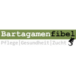 Bartagamenfibel - Online-Magazin logo