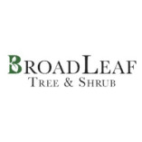 BroadLeaf Tree and Shrub