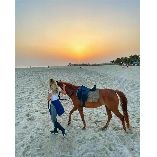 Salalah Adventure Tours