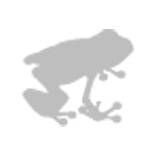 Werbeagentur Prekdesign GmbH & Co.KG logo