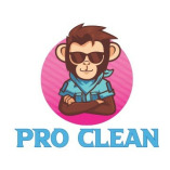 Pro Clean