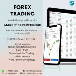 forex trading