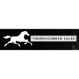 Thoroughbred Sales