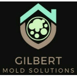 Mold Removal Gilbert Results