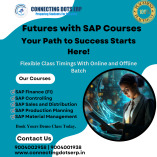 Best SAP Training Institute in Pune| SAP course in Pune with Placement