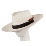 Wide brim fedora hat