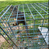 Total Pest Control Co