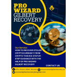 RETRIEVE YOUR LOST CRYPTO FROM SCAM INVESTMENT - PRO WIZARD GIlBERT RECOVERY