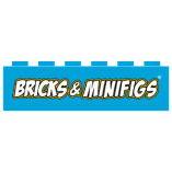 Bricks & Minifigs Minnetonka
