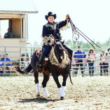 No Reins Performance Horses LLC
