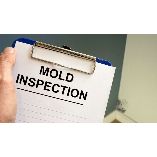 Norland Mold Inspection