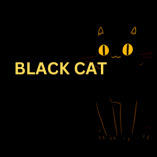 Black cat CCTV Camera