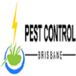 Flea Control Brisbane