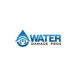 Peachtree City Water Damage Pros