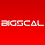 Bigscal Technologies