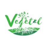 Vegetal Foods Market