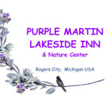 Purple Martin Lakeside Inn Nature Center